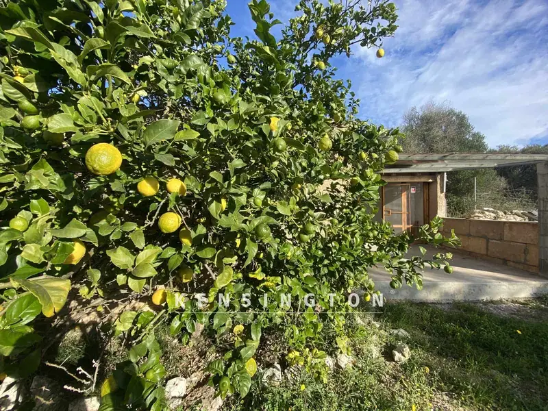 Chalet en venta en Capdepera, Mallorca