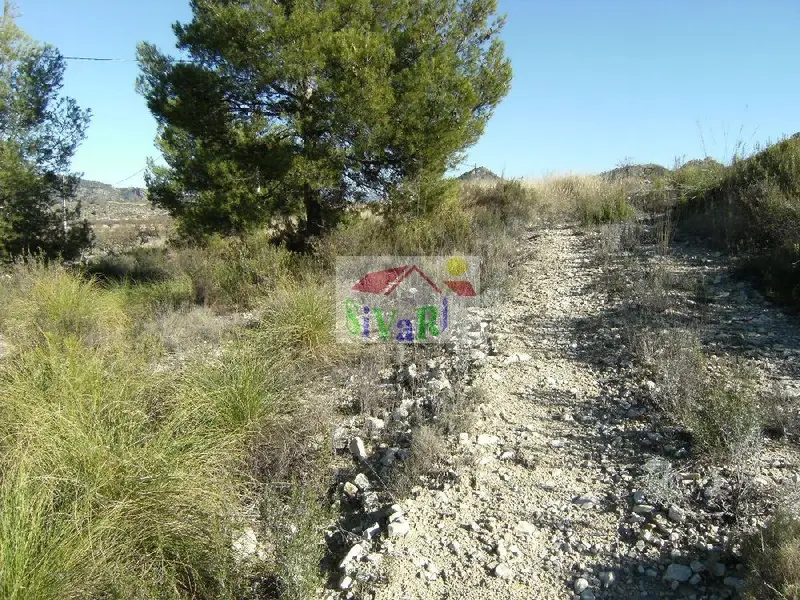 Venta Terreno Ricote Murcia Parcela Urbanizable