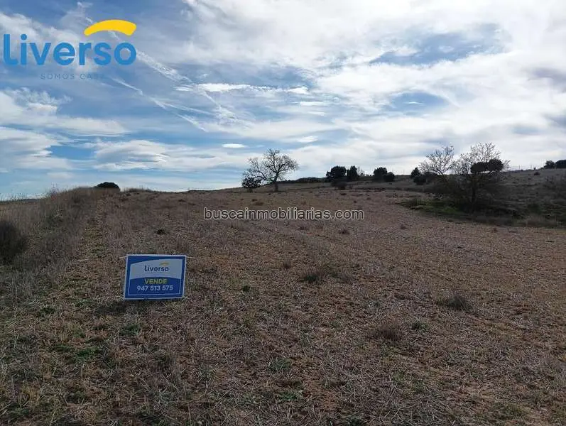 Parcelas Rusticas en Venta Aranda de Duero 7500m2