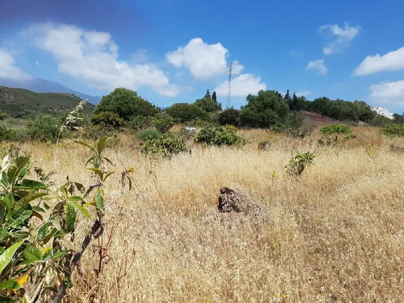Venta Finca Rustica Nueva El Velerin Estepona