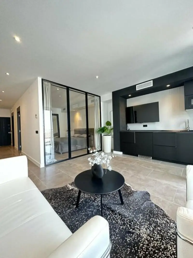 Apartamento en Puerto Banus 1 Dormitorio Reformado