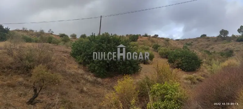 Venta Terreno de Lujo en Totalan Finca Rural 21406m2