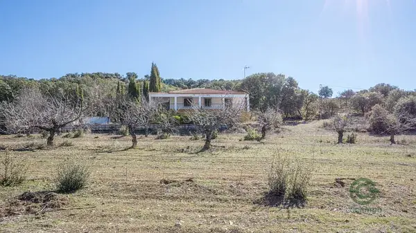 Cortijo con 6 Hectareas en Iznalloz Granada