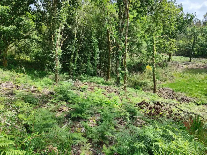 Finca/Casa Rural en venta en Ames, A Coruña