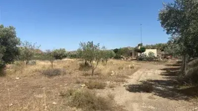 Cortijo Rustico en Fiñana Almeria con Vistas Sierra Nevada