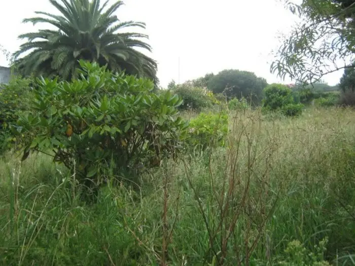 Solar en Venta Santa Marina Ferrol