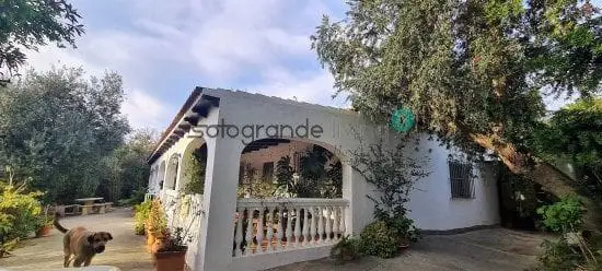 Finca Rustica en Venta San Martin del Tesorillo Cadiz