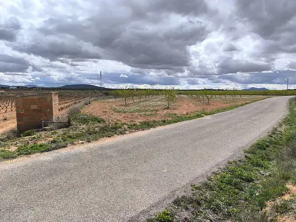 161ha en Pinoso Alicante Gran Propiedad