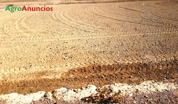 Venta  de Finca de regadío en Murcia