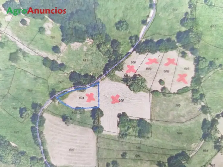 Venta  de Finca rústica en Asturias