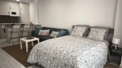 Estudio en Avenida de Pando Alquiler Corta Estancia Mascotas