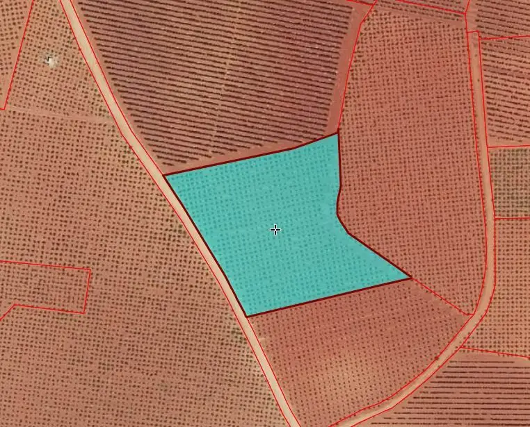 Venta Finca Rustica 14478m2 2000 Cepas Vina