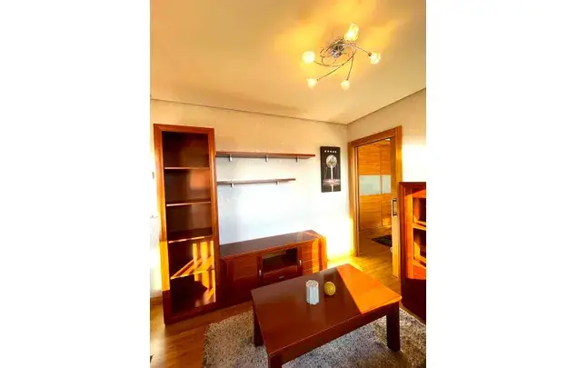 Alquiler Apartamento 1 Dormitorio Vigo