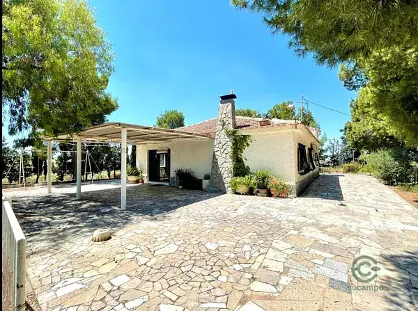 Chalet en Molina de Segura con Piscina y Jardin