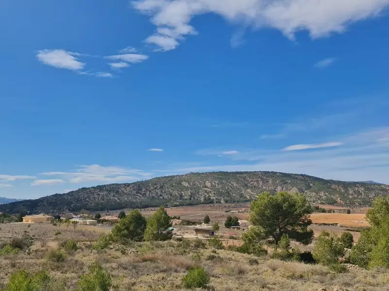 Terreno en venta Pinoso: 14546m2 con almendros, agua y electricidad