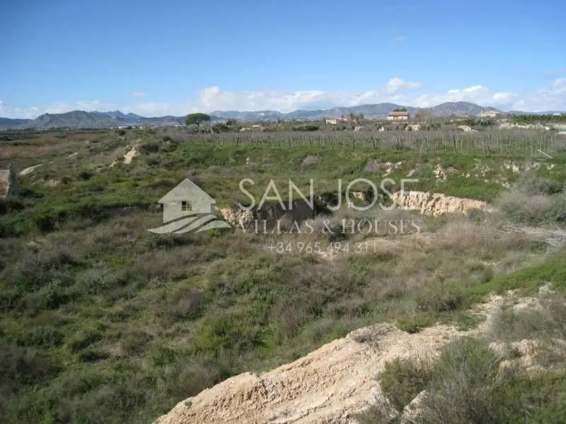 Venta Terreno en Aspe 19004m2