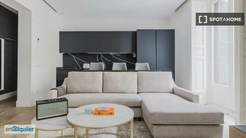 Apartamento 1 Dormitorio Madrid Alquiler