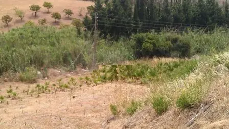 Terreno Residencial Estepona Costa del Sol 27176m2