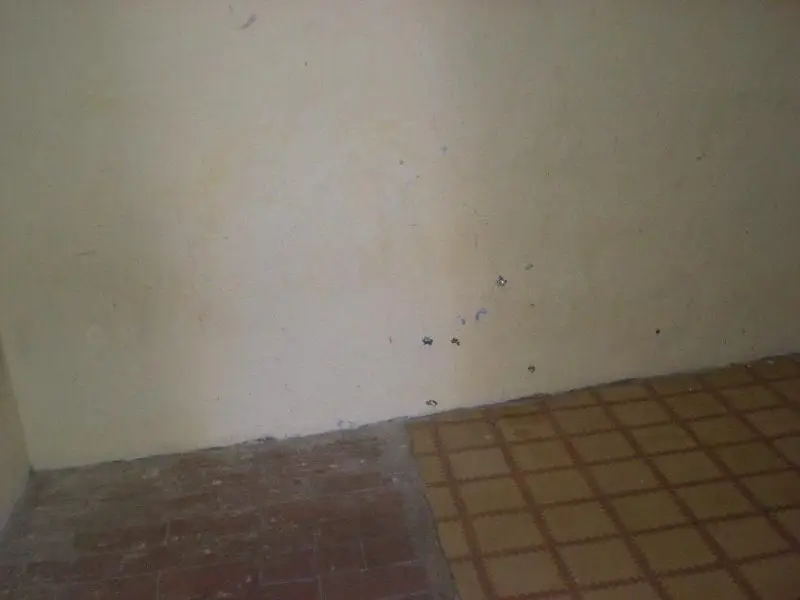 Piso 61m2 Amposta Terraza Calle San Justo