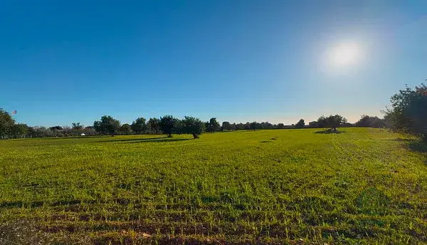 Terreno 19000m2 Llucmajor  Propiedad de Lujo Mallorca