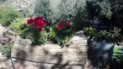 Finca Rustica en Venta Junto a Mecina Bombaron