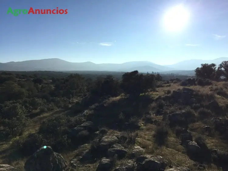 Alquiler  de Finca rústica en Toledo