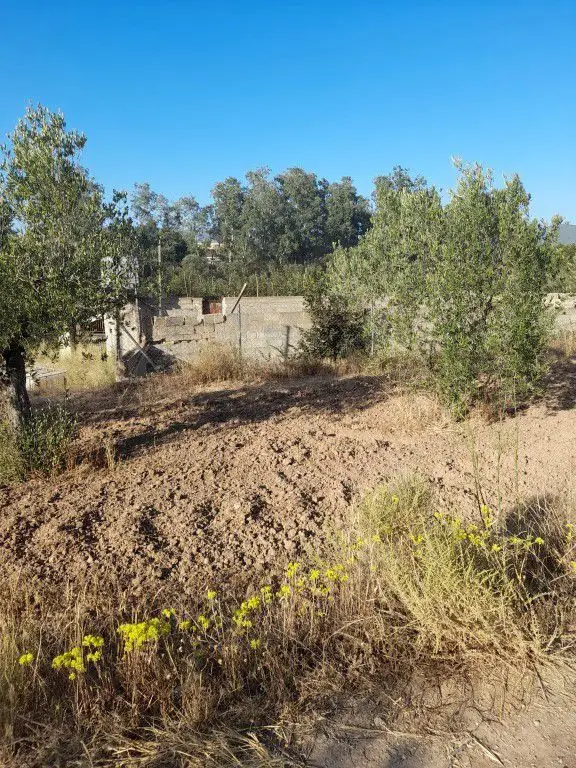 Venta Finca Castalla RP1767