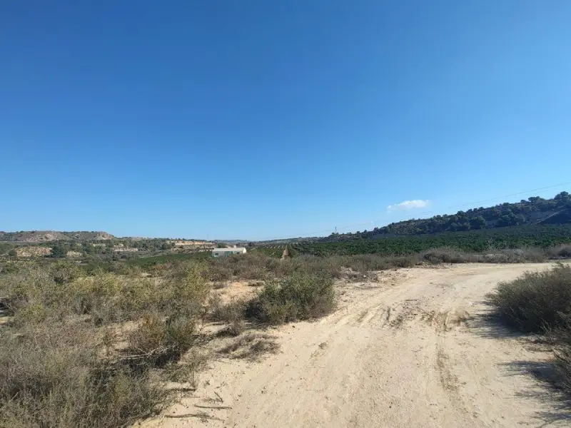 Venta Finca Rustica Torremendo Almendros Agua