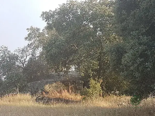 Terreno en Esparragalejo 4484m2
