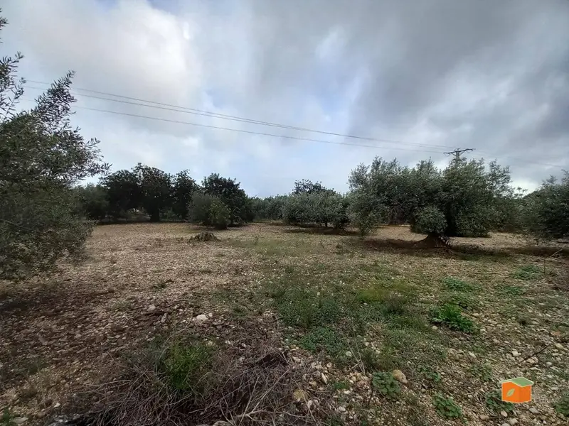 Terreno Rustico en Venta Alcanar Tarragona