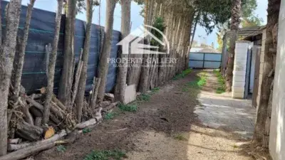 Finca en venta en Playa del Palmar Vejer de la Frontera