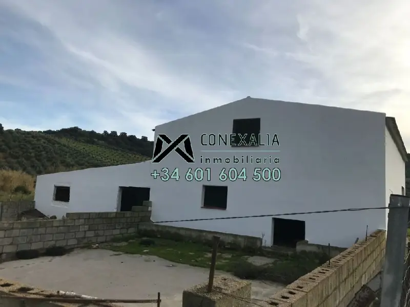 Venta Finca 1 Dormitorio Olvera