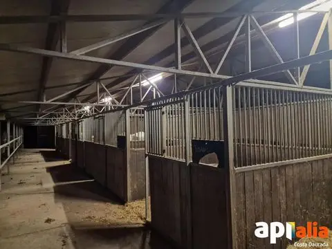 Hípica de 7 Hectáreas con Instalaciones para 90 Caballos en Venta