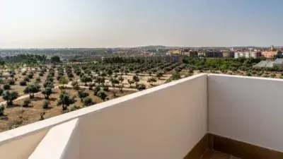 Atico en Alquiler Valdemoro  Terraza Piscinas Gimnasio