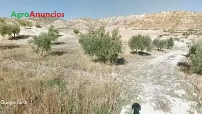 Venta  de Finca de secano para frutos secos en Granada