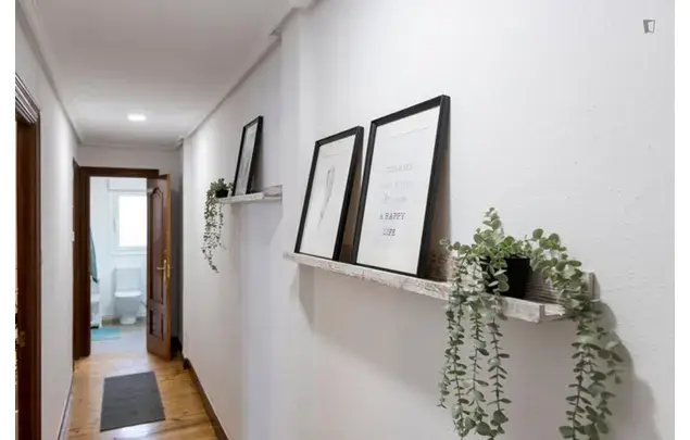 Alquiler Apartamento 5 Dormitorios Bilbao Estudiantes Trabajadores