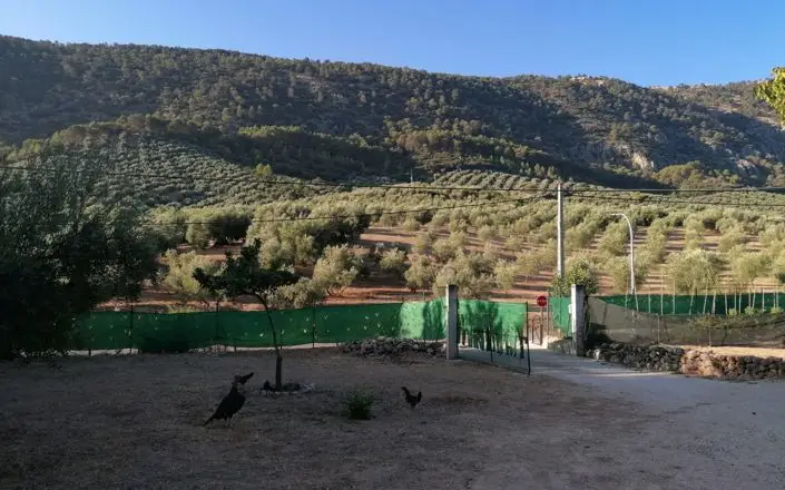 Cortijo Moderno 5 Dormitorios Rute
