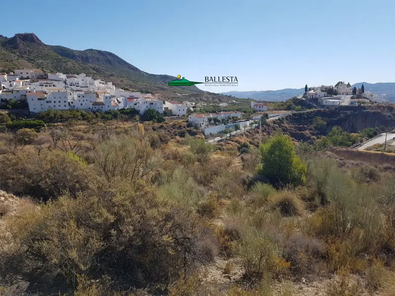 Venta Solar Urracal 5000m2 Alberca Cortijo Ref 00642