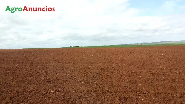 Venta  de Finca de secano con cortijo y nave ganadera en Badajoz