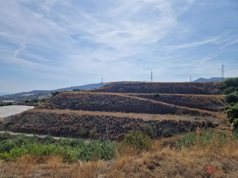 Venta Terreno 16 Marjales Molvizar Cultivo Subtropicales