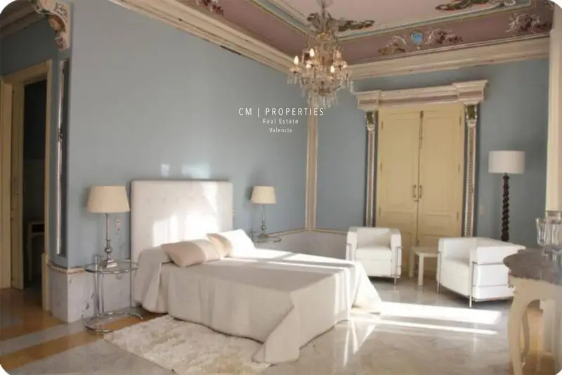 Piso Palacio Siglo XIX Valencia Carmen 6 habitaciones terraza 350m2