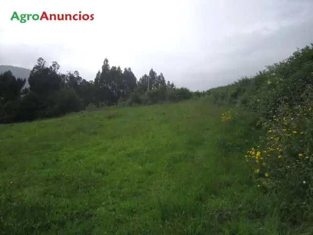 Venta  de Terreno no urbanizable en A Coruña