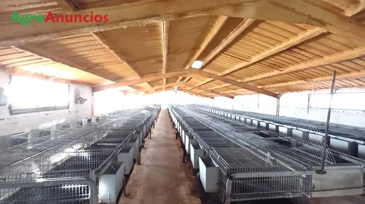 Venta Parcela Dos Naves Ganaderas Teruel