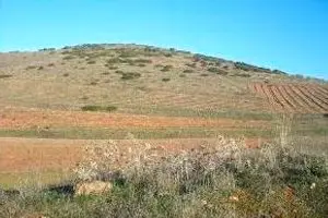 Venta  de Terreno de matorral en Ciudad Real