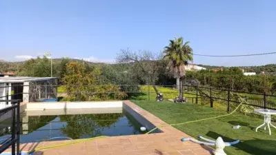 Chalet en Lora del Rio con Piscina y Olivar
