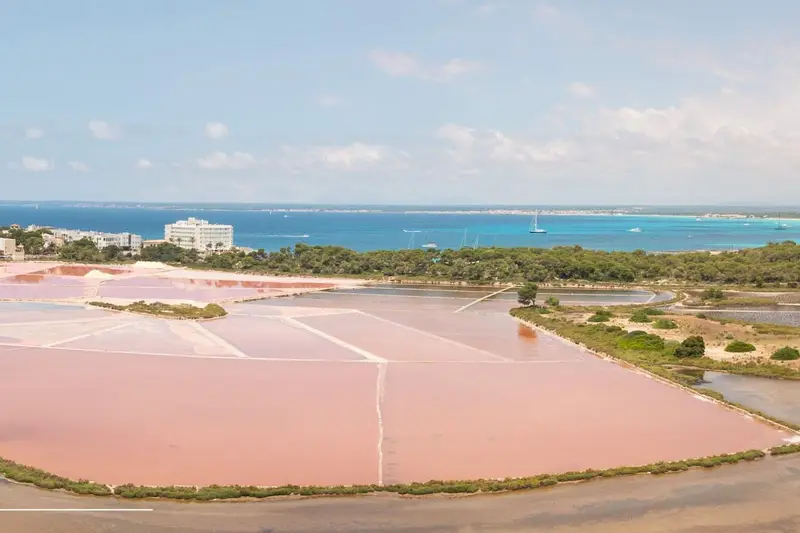 Casa en Venta Ses Salines Mallorca 3 Dormitorios Piscina