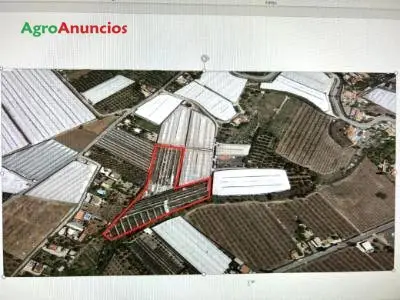 Venta  de Finca con 3 invernaderos en Granada