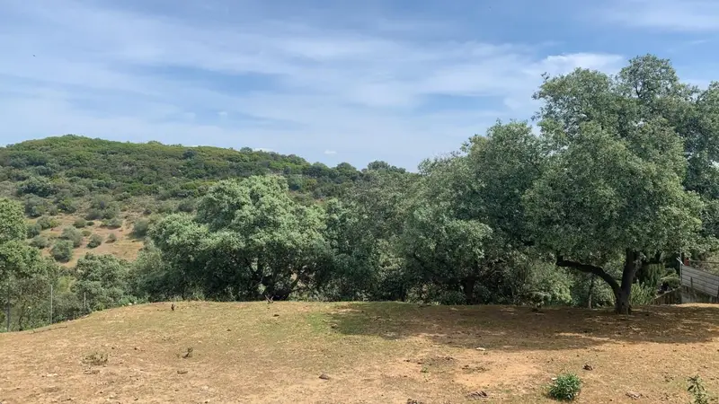 Venta Terreno Vistas Calasancio Cordoba