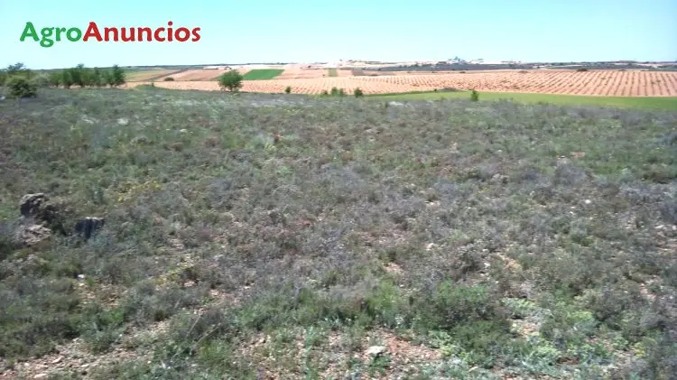 Venta  de Terreno de secano en Cuenca