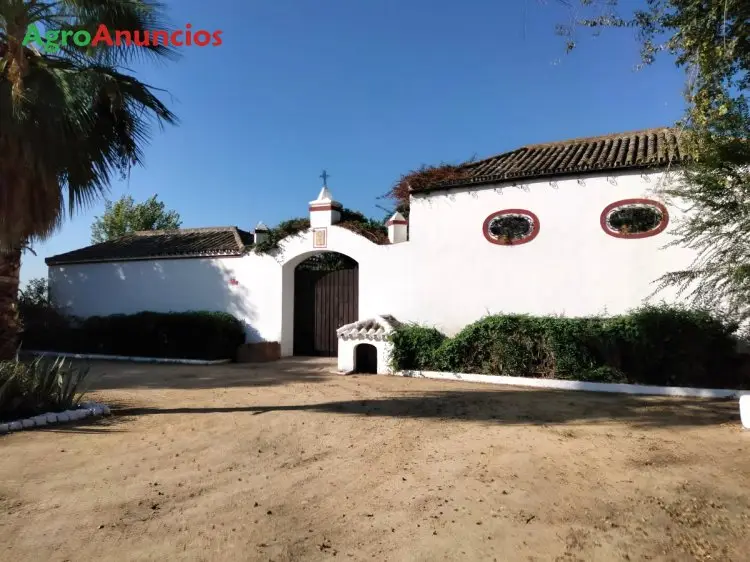 Venta  de Finca de regadío en Sevilla